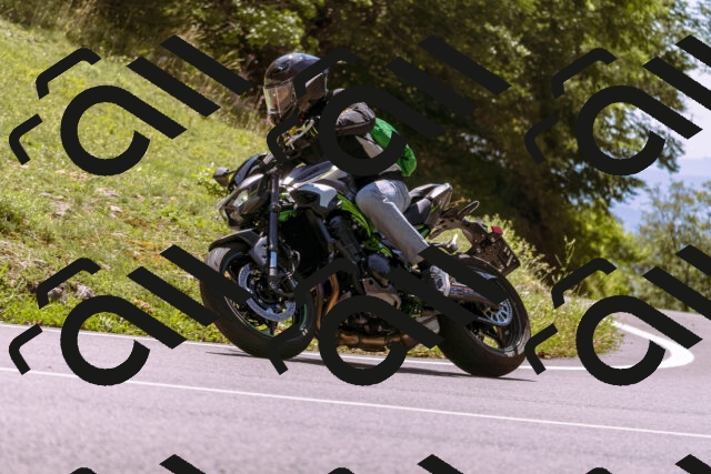 202509061305-_DSC8889_d1_