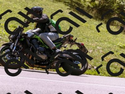 202509061305-_DSC8890_d1_