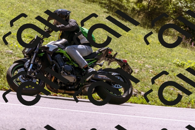 202509061305-_DSC8890_d1_