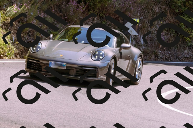 202509061307-_DSC8897_d1_