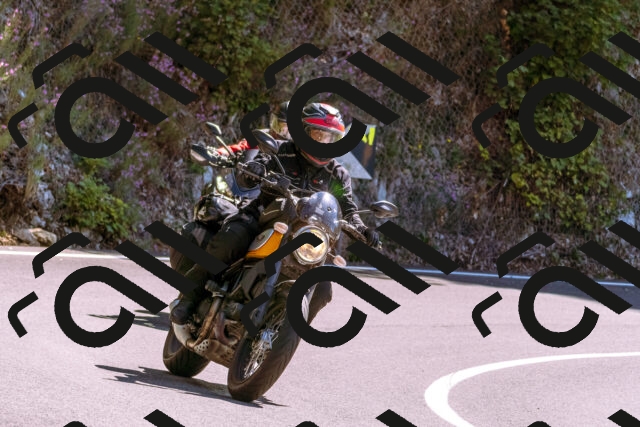 202509061307-_DSC8902_d1_