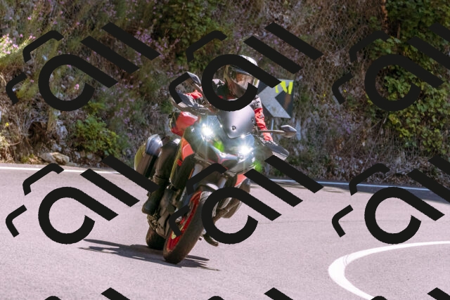 202509061307-_DSC8903_d1_