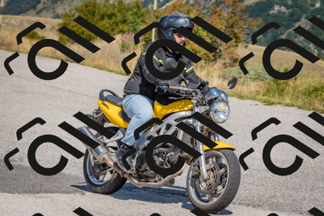 202509061202-DSC_8846_c4_