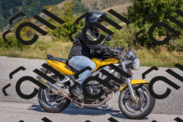 202509061202-DSC_8847_c4_