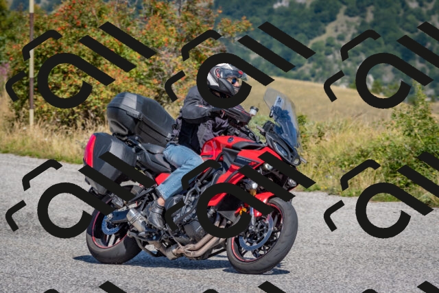 202509061203-DSC_8852_c4_