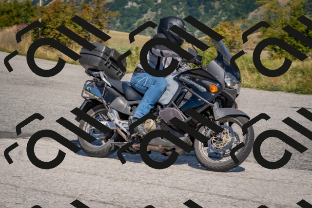 202509061204-DSC_8871_c4_