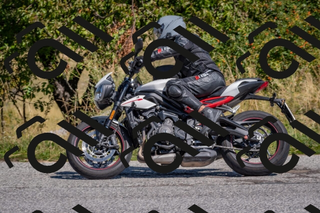 202509061205-DSC_8886_c4_