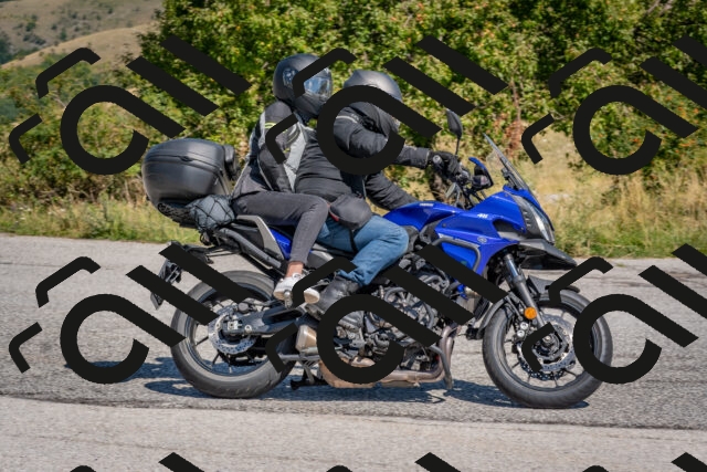 202509061207-DSC_8895_c4_