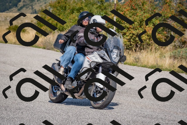 202509061207-DSC_8902_c4_