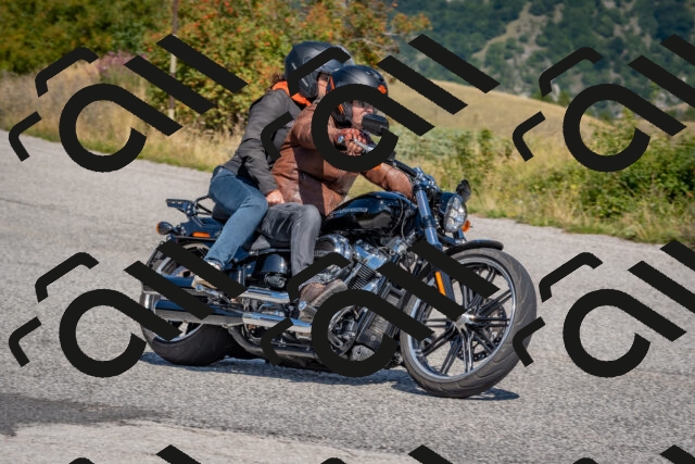 202509061208-DSC_8907_c4_