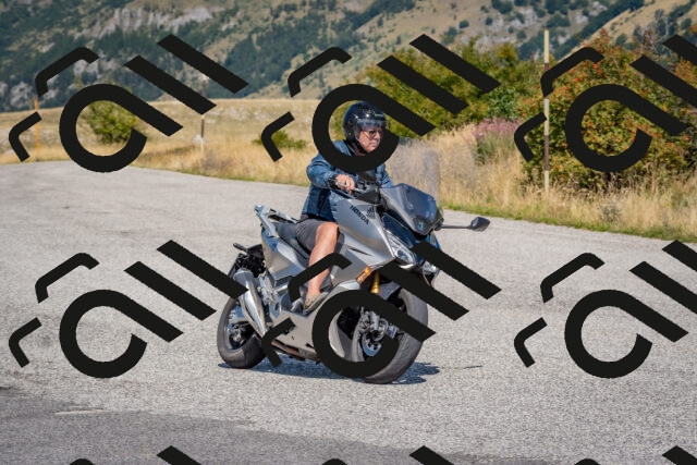 202509061208-DSC_8910_c4_