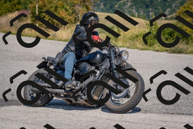 202509061208-DSC_8915_c4_