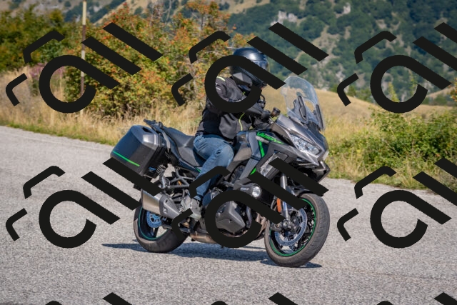 202509061208-DSC_8918_c4_