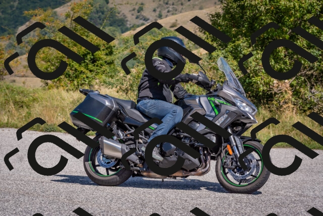 202509061208-DSC_8919_c4_