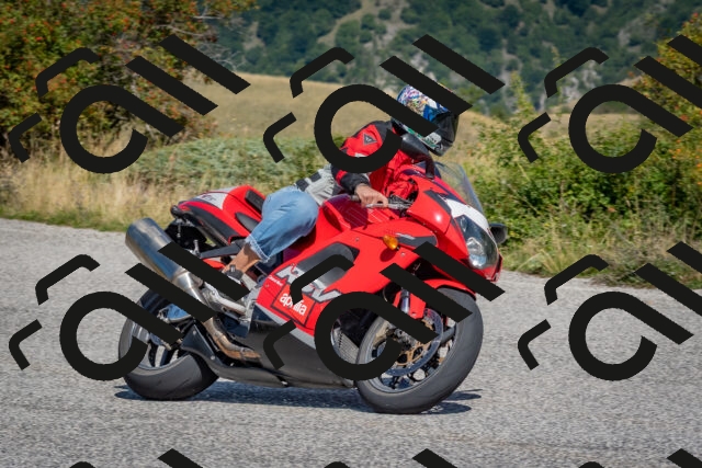 202509061209-DSC_8931_c4_