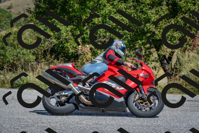 202509061209-DSC_8933_c4_