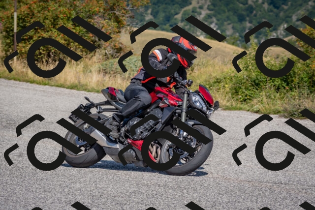 202509061210-DSC_8942_c4_