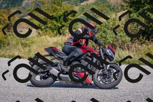 202509061210-DSC_8943_c4_