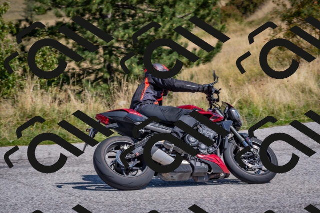 202509061210-DSC_8945_c4_