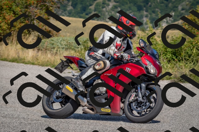 202509061211-DSC_8947_c4_