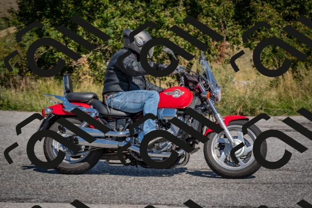 202509061211-DSC_8951_c4_