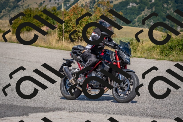 202509061211-DSC_8952_c4_