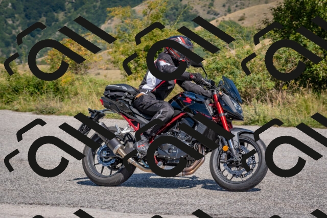 202509061211-DSC_8953_c4_