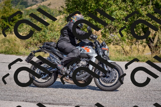 202509061211-DSC_8958_c4_