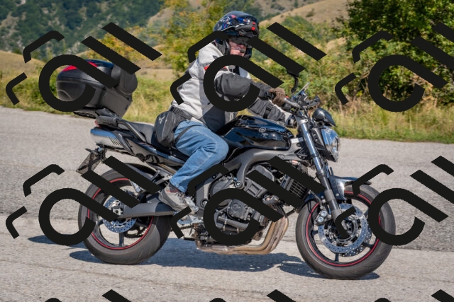 202509061211-DSC_8959_c4_