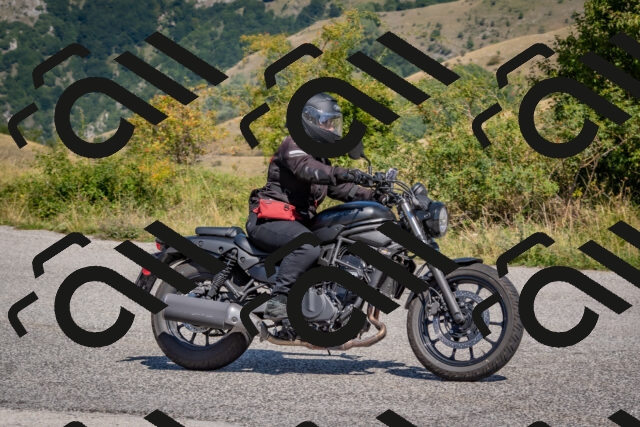 202509061211-DSC_8960_c4_