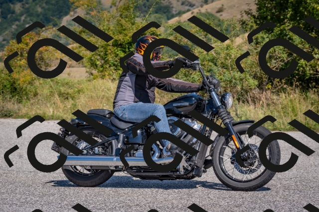 202509061211-DSC_8961_c4_