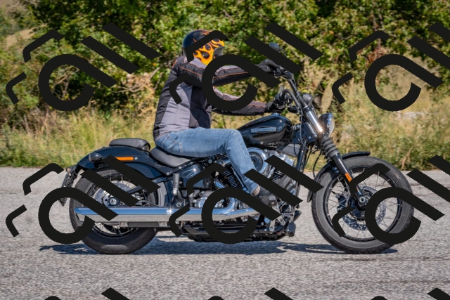 202509061211-DSC_8962_c4_