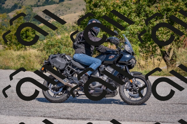 202509061213-DSC_8968_c4_