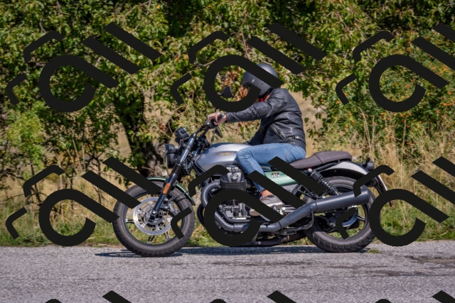 202509061214-DSC_8970_c4_