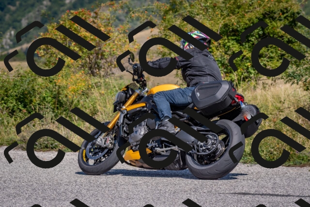 202509061215-DSC_8974_c4_