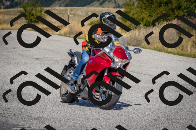 202509061216-DSC_8981_c4_