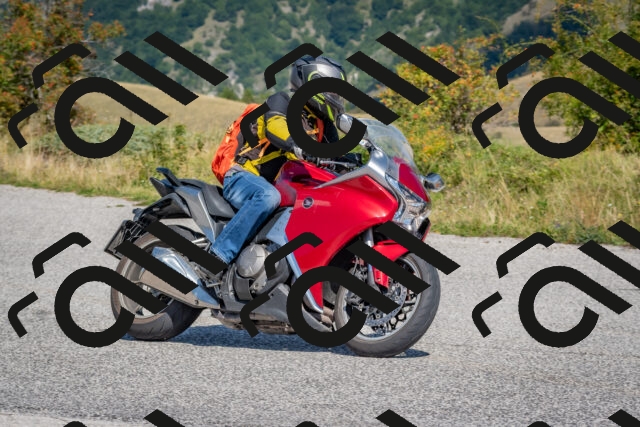 202509061216-DSC_8982_c4_