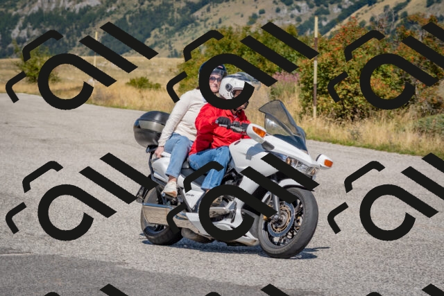 202509061219-DSC_8998_c4_