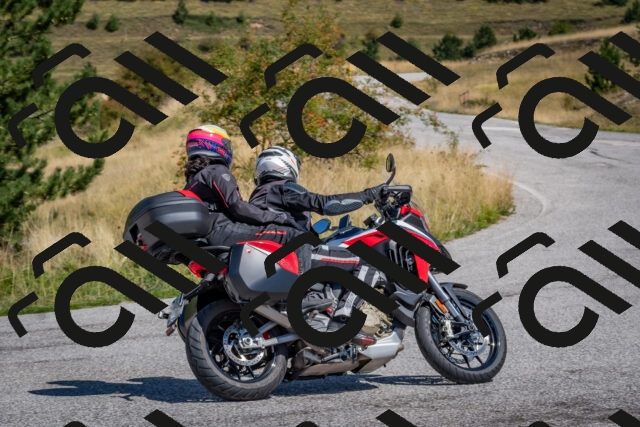 202509061225-DSC_9012_c4_