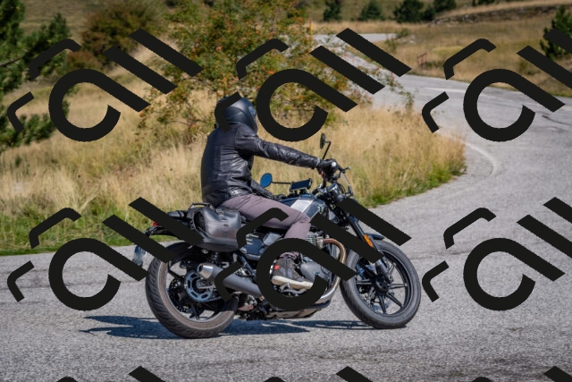 202509061226-DSC_9037_c4_