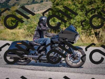 202509061239-DSC_9208_c4_