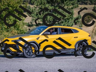 202509061251-DSC_9341_c4_