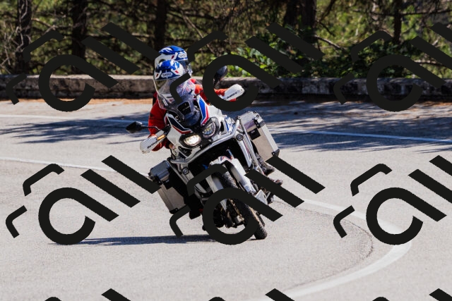 202509061307-_04A5962_c3