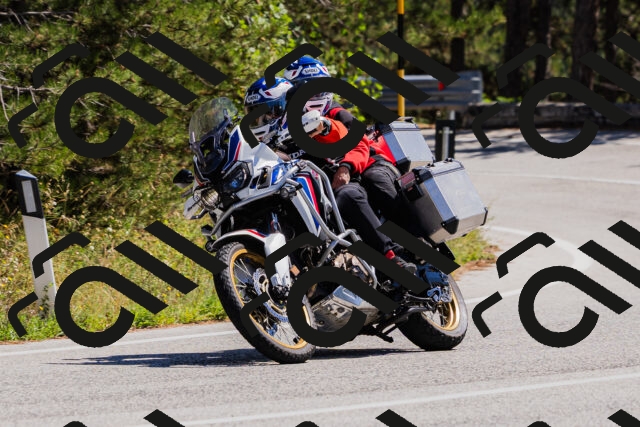 202509061307-_04A5963_c3