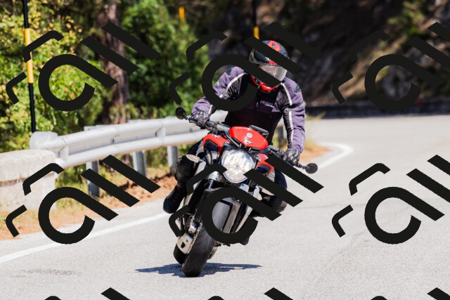 202509061307-_04A5966_c3