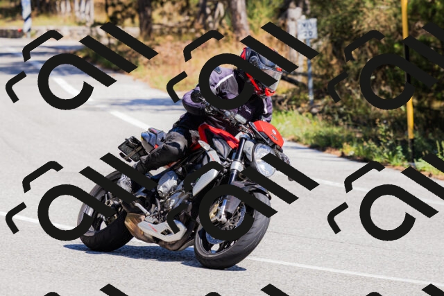 202509061307-_04A5967_c3