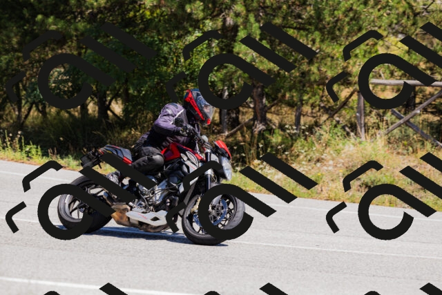 202509061307-_04A5968_c3