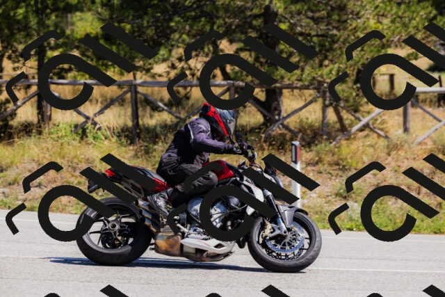 202509061307-_04A5969_c3