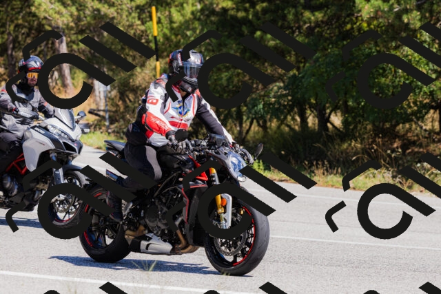 202509061307-_04A5972_c3