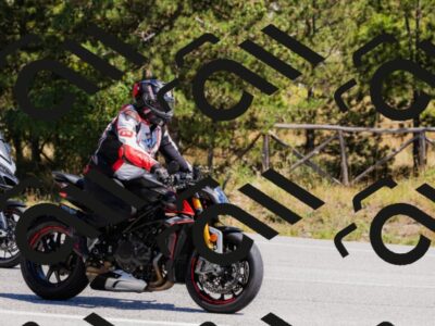 202509061307-_04A5973_c3